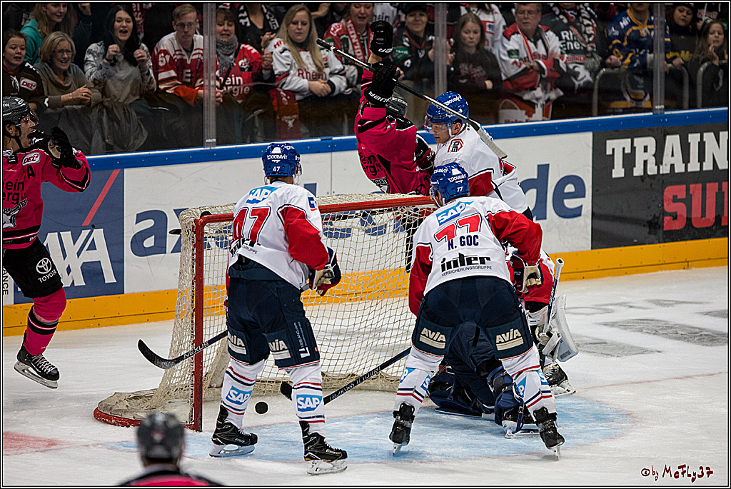 Koelner Haie - Adler Mannheim, 30.10.2016